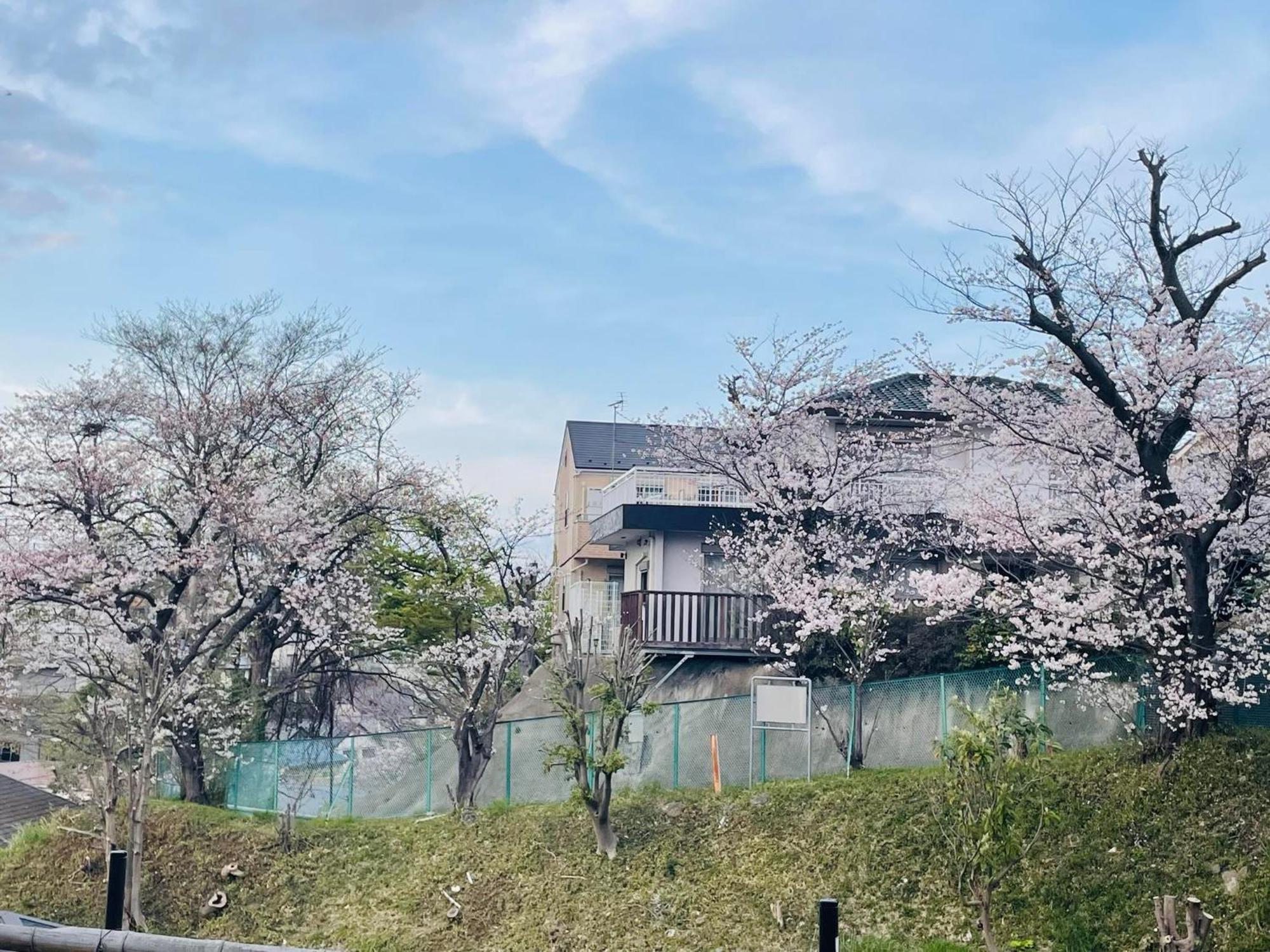 فندق ソフィアハウス横浜 -女性専用シェアハウス- Sopfia House Yokohama For Women Only Shared House المظهر الخارجي الصورة